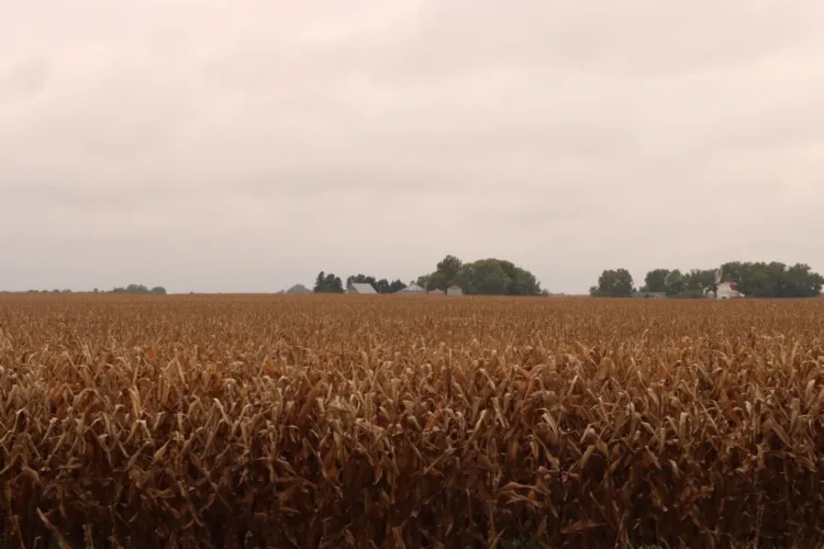 Iowa farmers behind on harvest as wet September comes to close